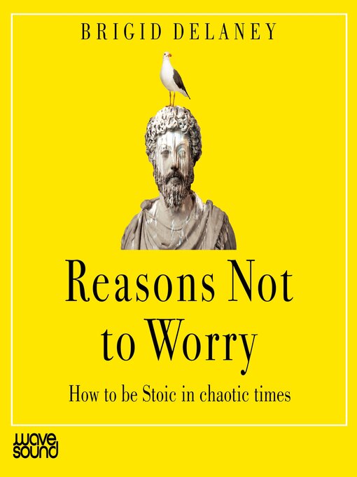 Title details for Reasons Not to Worry by Brigid Delaney - Wait list